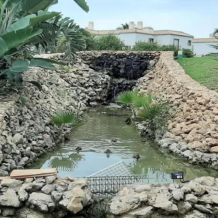 In With Shared Swimming Pool Torrox